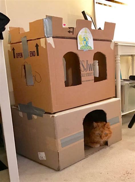 Cats In Cardboard Forts 22 Pics