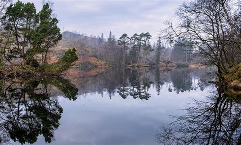 Tarn Hows Reflections Photograph By Tim Hill Fine Art America