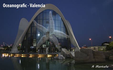 Oceanografic-Valencia | Oceanografic valencia, Fotografia