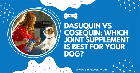 Dasuquin vs Cosequin: Which is Better for Big Dogs? | Canine Weekly