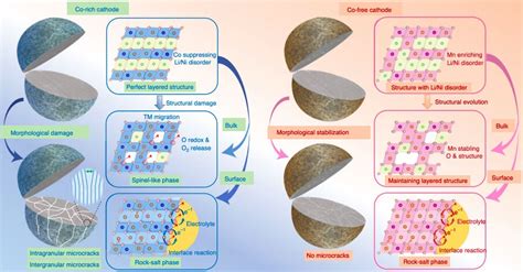 Investigating The Role Of Cobalt In Rechargeable Batteries To Develop