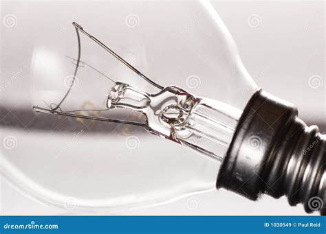 Light Bulb Isolated On White Stock Image Image Of Delicate