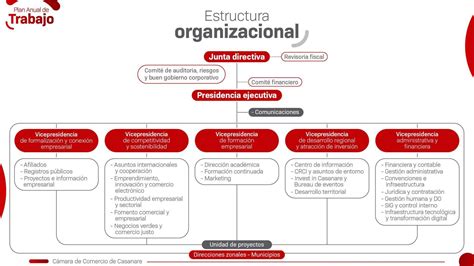 Estructura Org Nica Y Talento Humano Camara De Comercio De Casanare