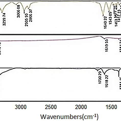 Ft Ir Spectra Of A Go B Mgo And C Mgn6 Download Scientific Diagram