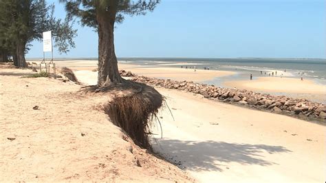 Ambientalista Aponta Eros O E Perda De Biodiversidade Como Desafios