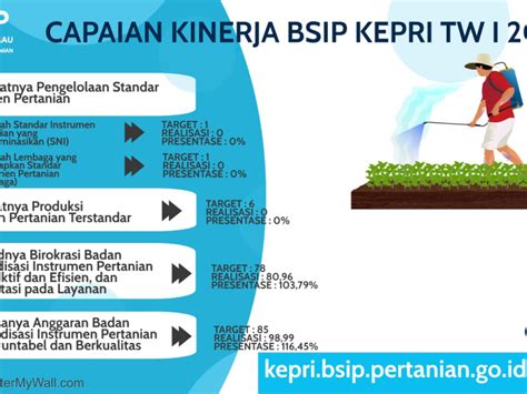 Bsip Kepri Infografis