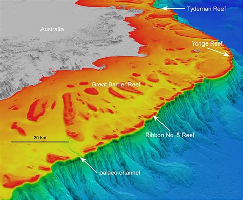 Drowned Reefs Deepreef Explorer Cairns