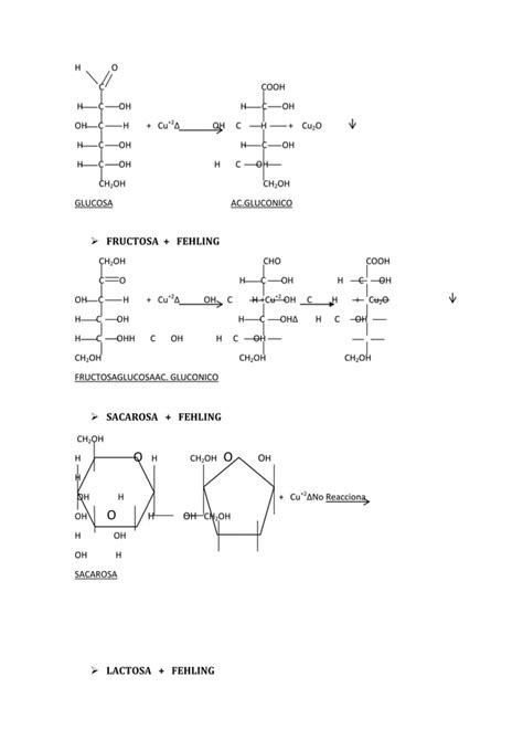 Reporte Quimica Organica General PDF