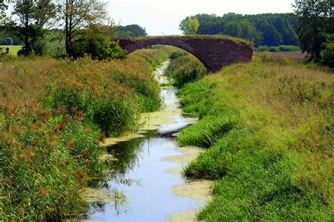 Der Bach Landschaft Sommer Kostenloses Foto Auf Pixabay