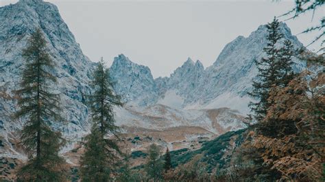 Mountains Trees Landscape River Stream K Hd Wallpaper