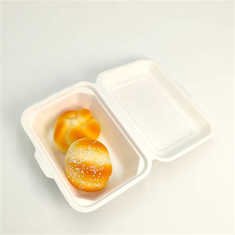 Disposable Biodegradable Bagasse Food Container Natural Sugarcane Pulp