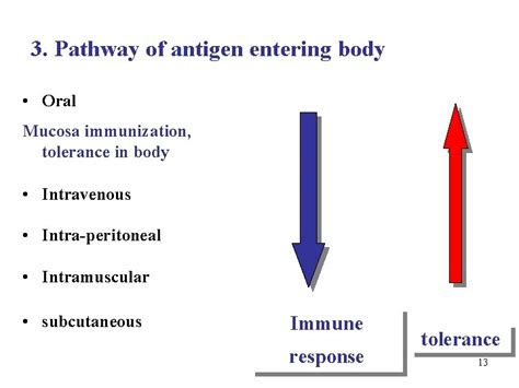 Chapter 15 Immunological Tolerance 1 1 Concept Outline