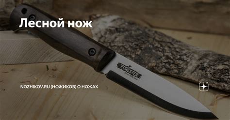 Лесной нож | Nozhikov.ru (Ножиков) о ножах | Дзен