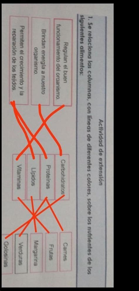 Actividad de extensión 1 Se relaciona las columnas con líneas de