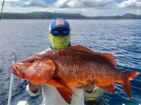 The Best Time To Fish In Costa Rica A Guide To Maximizing Your Catch