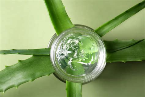 Does Aloe Vera Gel Expire