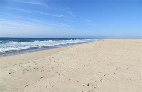 Salinas River National Wildlife Refuge in Salinas, CA - California Beaches