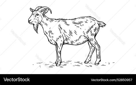 Goat Vintage Retro Print Black White Royalty Free Vector