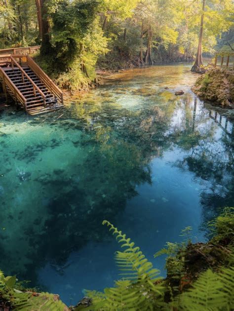 Explore Madison Blue Spring State Park