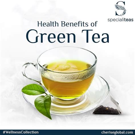 Specialiteas Health Benefits Of Green Tea Youtube