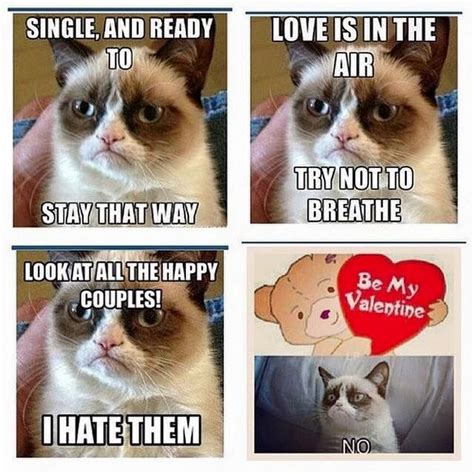 Love is in the air, try not to breathe | Grumpy cat humor, Valentines ...