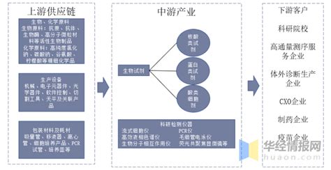 一天研究一个行业：中国生物科研试剂行业市场深度分析 知乎