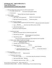 Tyler Braun Ap Bio Dna Rna Part Worksheet Wl Pdf Ap Biology