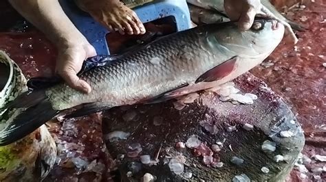 Sylhet Fish Amazing Cutting Skills Big Fish Cstla Cup Cleaning