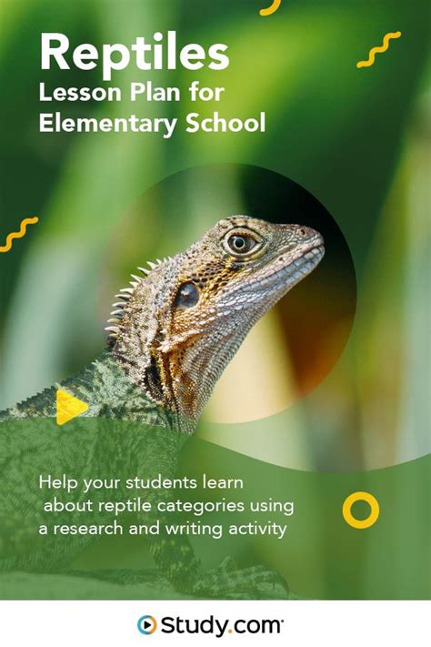 Reptiles Lesson Plan For Elementary School Elementary Lesson Plans Science Lesson Plans