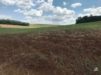 Terreno Rural S Tio Fazenda Ch Cara A Venda Em Interior Xanxere