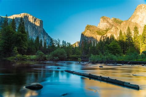 Premium Photo Log In Lake By Rocky Mountains At Yosemite National Park