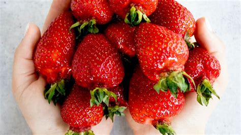 Aprovecha La Temporada Para Cultivar Fresas En El Huerto En Casa