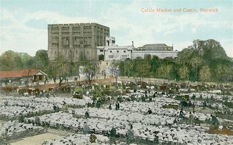 Norwich, cattle market, Castle stock image | Look and Learn