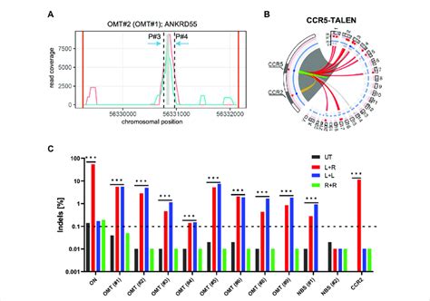 T CAST Analysis For CCR5 Targeting TALEN A Coverage Plot For ANKRD55