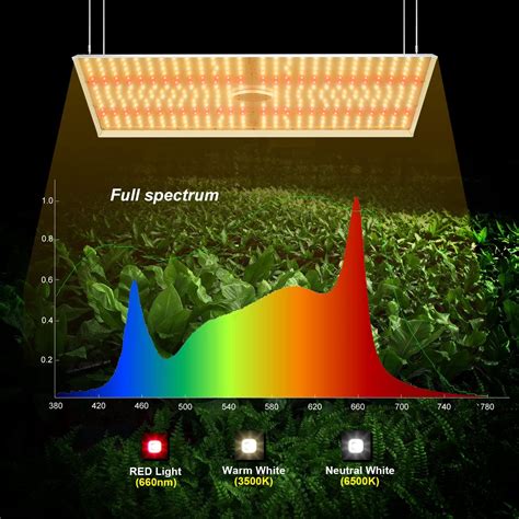 Buy Tmlapy Grow Lghts For Indoor Plants W Led Grow Light X Ft