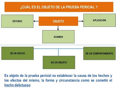 La Prueba Pericial