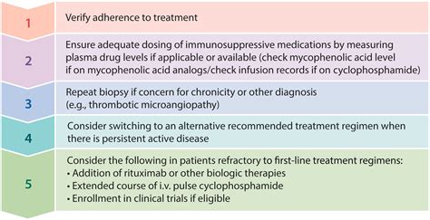 Kdigo 2024 Clinical Practice Guideline For The Management Of Lupus