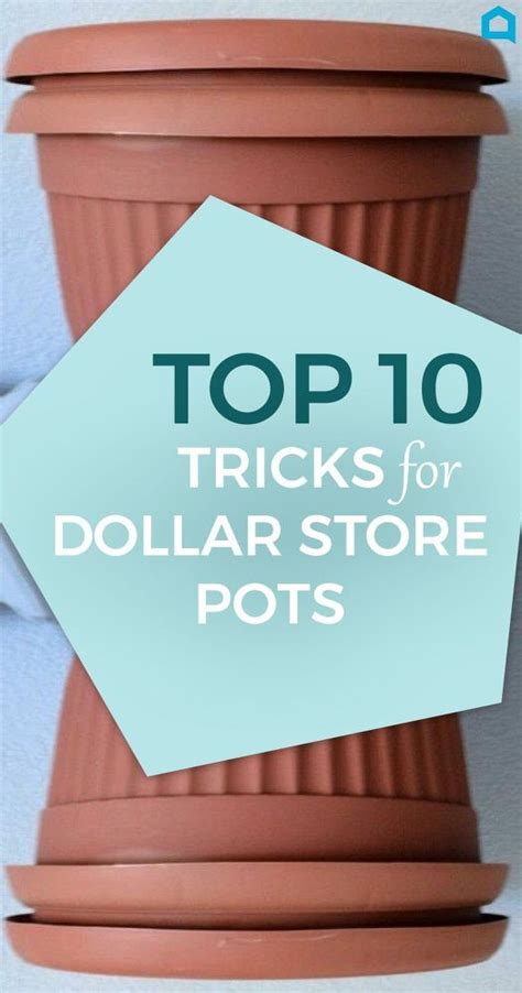 Here Are Gorgeous Designer Tricks For Your Dollar Store Pots You