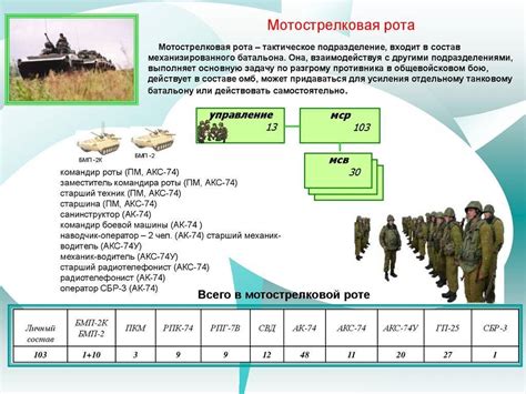 Дивизия: сколько человек, численность солдат в дивизии в армии РФ