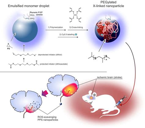 Reactive Oxygen SpeciesResponsive Nanoparticles For The Treatment Of