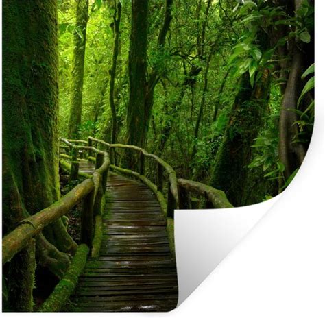 Muurstickers Sticker Folie Jungle Brug Mos Natuur Tropisch