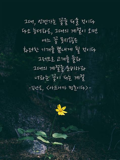 인생에 필요한 주옥같은 조언 20 한국말 멋진 단어 삶의 교훈 인용구