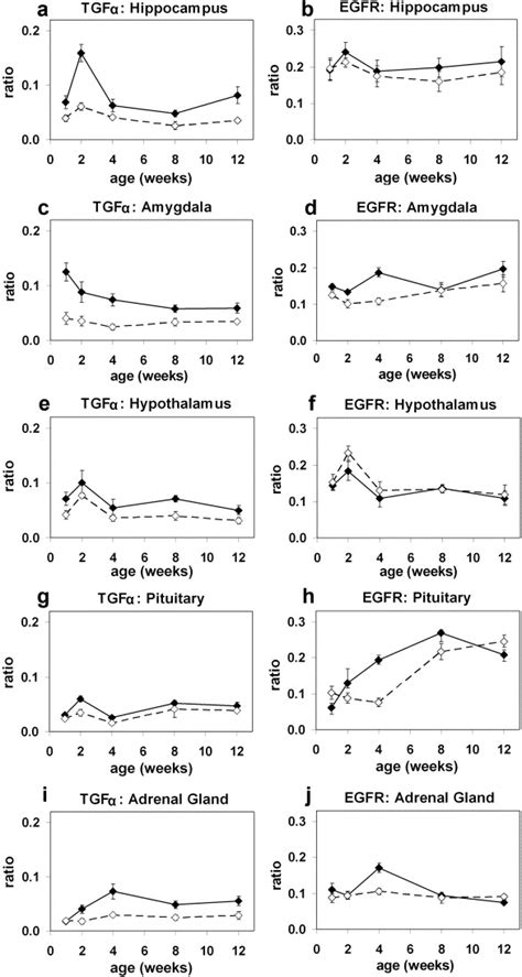 Sex Differences In Expression Of Transforming Growth Factor α And