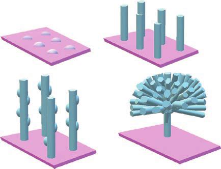 Schematic Diagram Of Sequential Nucleation Growth Of Zno Flowers A