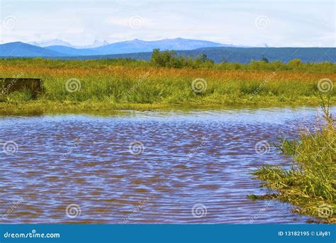 River On The Plain Stock Image Image Of Stream Mountains 13182195