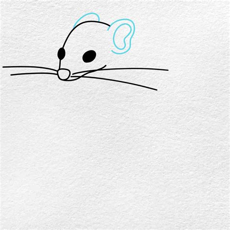 how to draw a rat