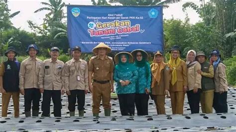 Pemkot Tasikmalaya Dorong Gerakan Menanam Cabai Untuk Kendalikan