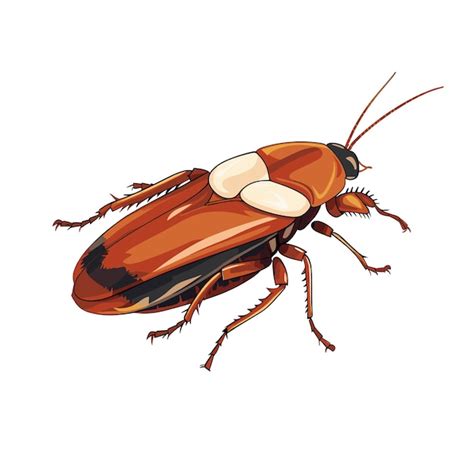 Premium Vector Hand Drawn Flat Color Cockroach Illustration