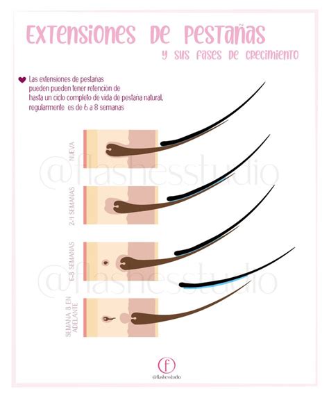 Crecimiento De Extensiones Ig Flashesoficial Extensiones De