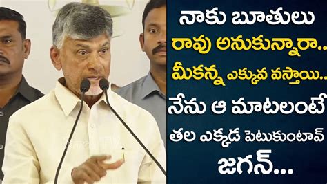 Nara Chandrababu Mass Warning To CM YS Jagan AP Political News TDP